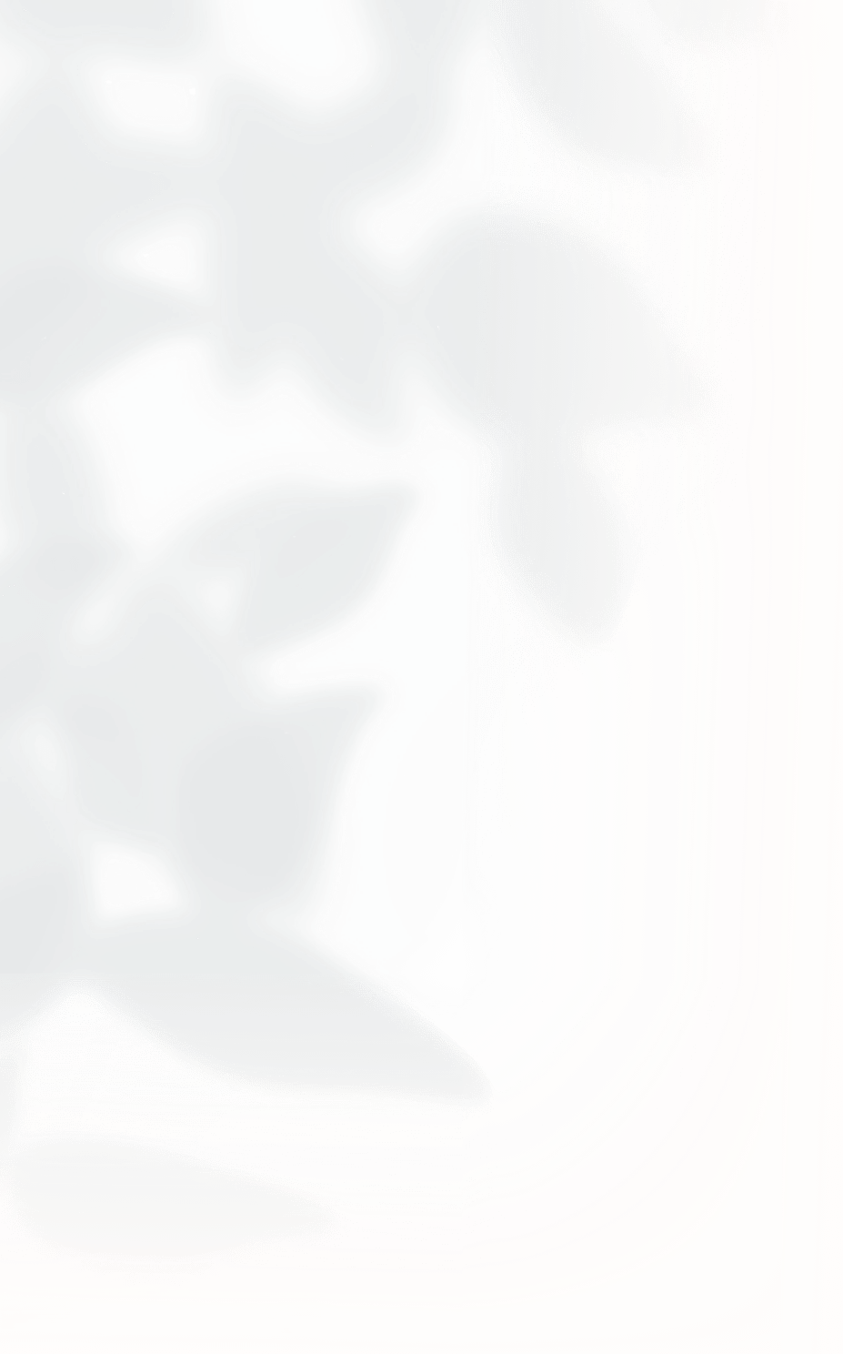 私たちについて