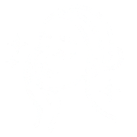 フェイシャル